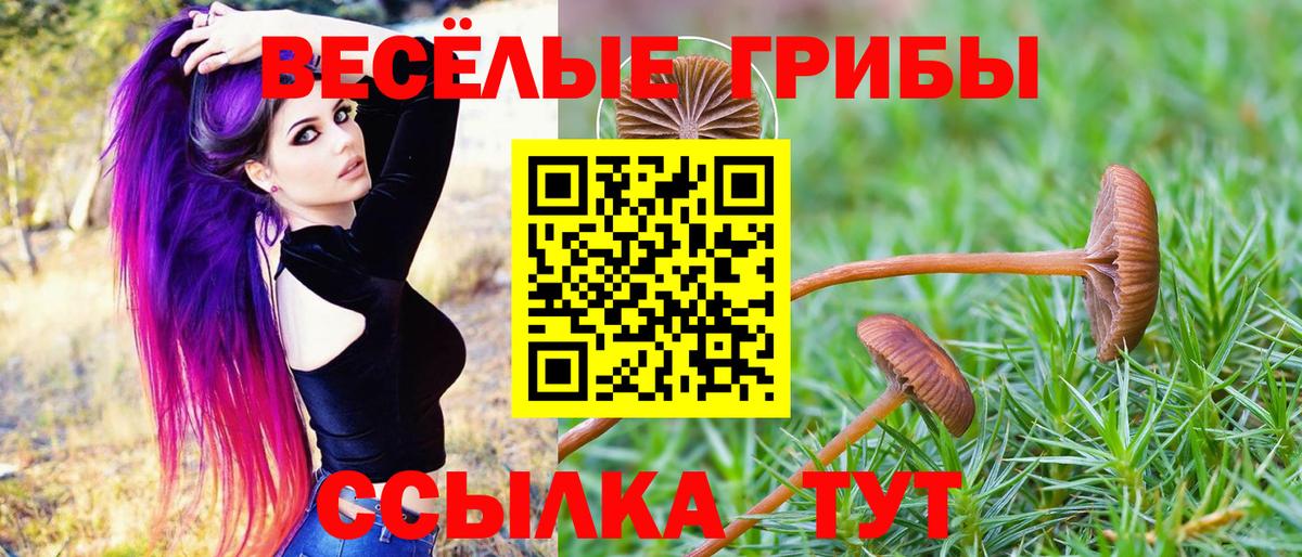 Галлюциногенные грибы MAGIC MUSHROOMS Богданович